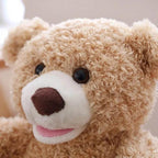 Hide&Seek Teddy - mybabyx.store