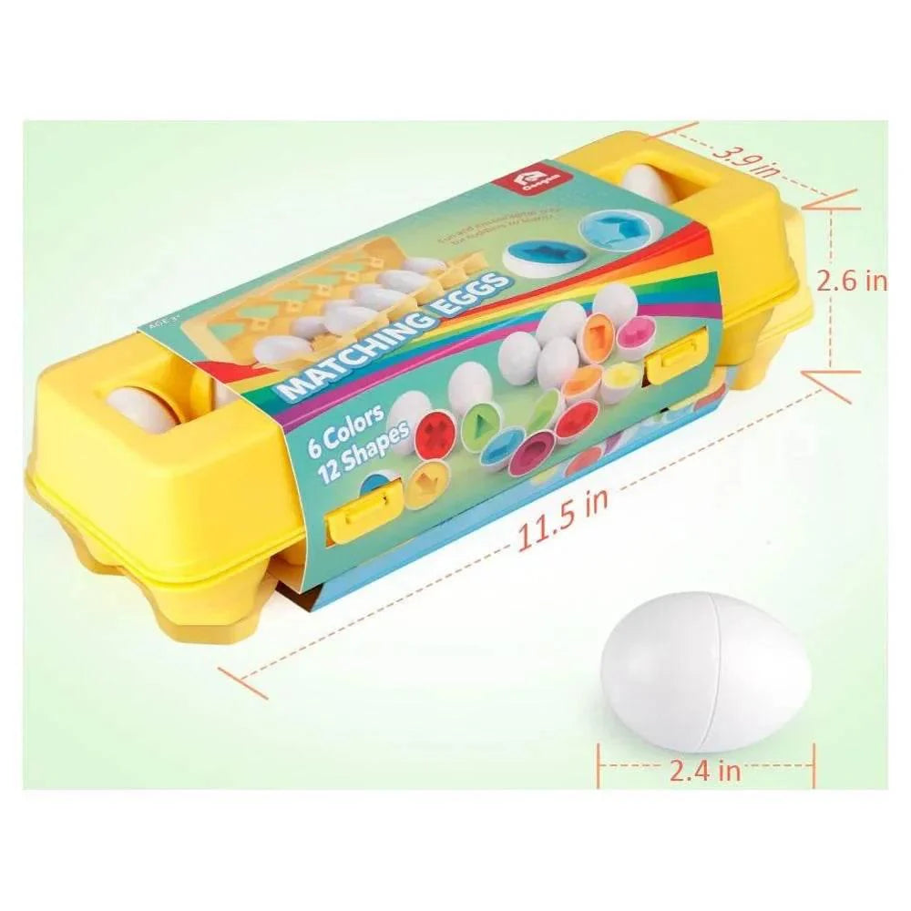 Matching Eggs Box - mybabyx.store